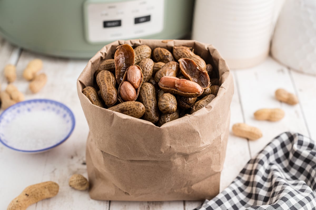Slow cooker boiled peanuts in a brown paper bag.