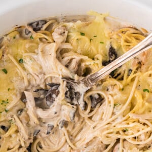 Slow cooker chicken tetrazzini with a spoon in it.