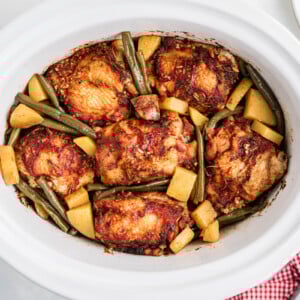 Overhead shot of slow cooker full chicken dinner.