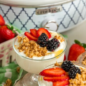 Servings of slow cooker yogurt topped with fruit, granola, and honey.