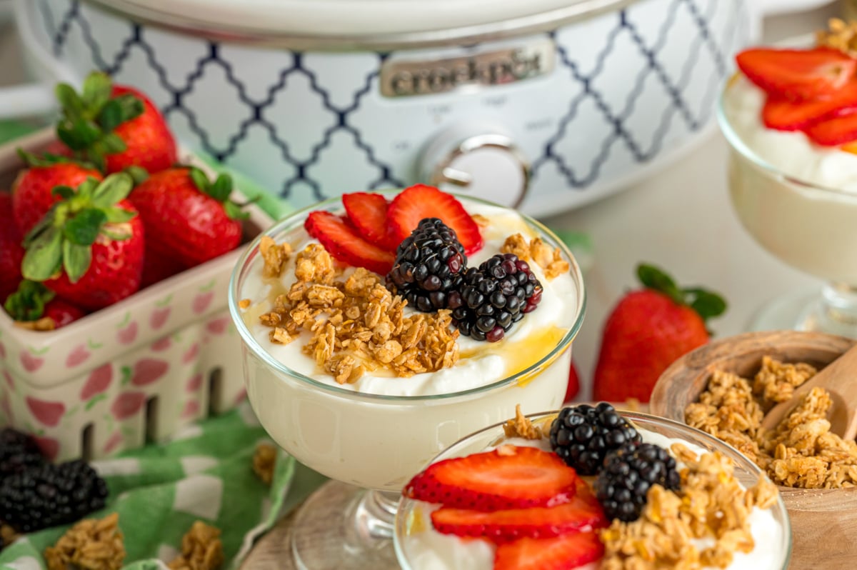 Servings of slow cooker yogurt topped with fruit, granola, and honey.