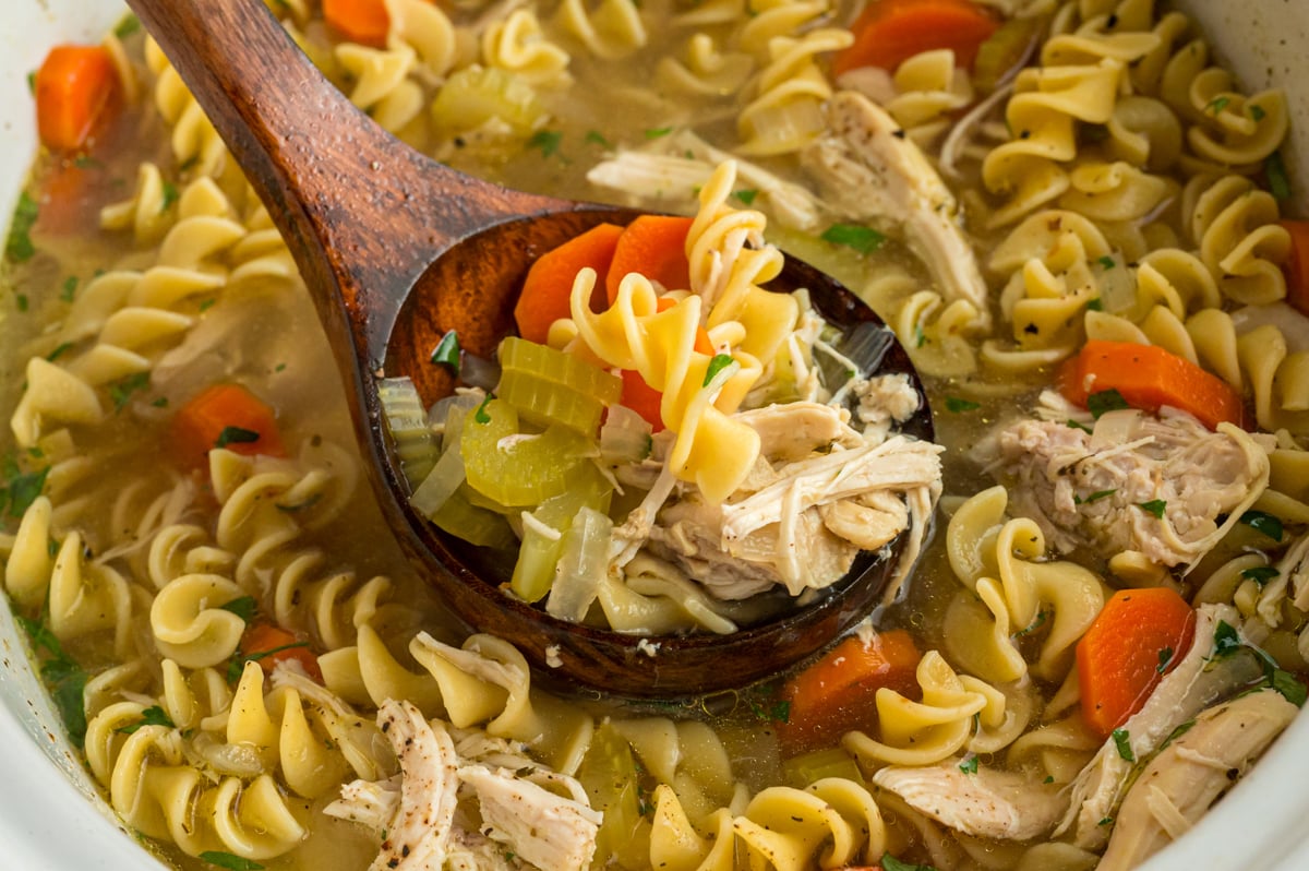 Slow Cooker Chicken Noodle Soup - The Magical Slow Cooker