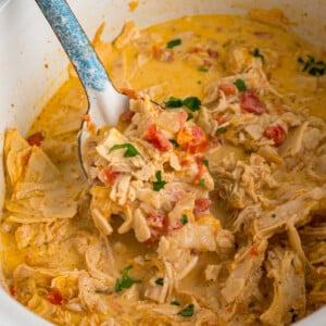 A metal spoon scooping chicken from a crockpot.