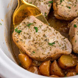 A spoon grabbing a pork chop from a slow cooker.