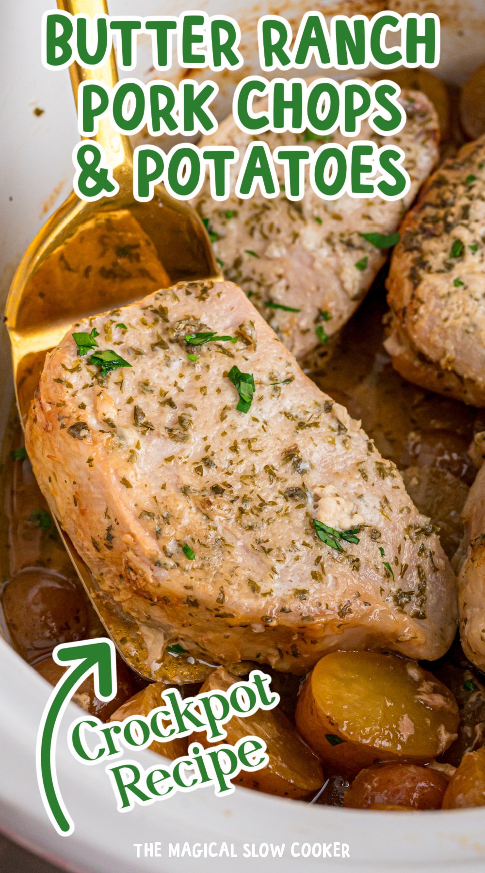 Long image of a pork chop being held up from a crockpot with text overlay.