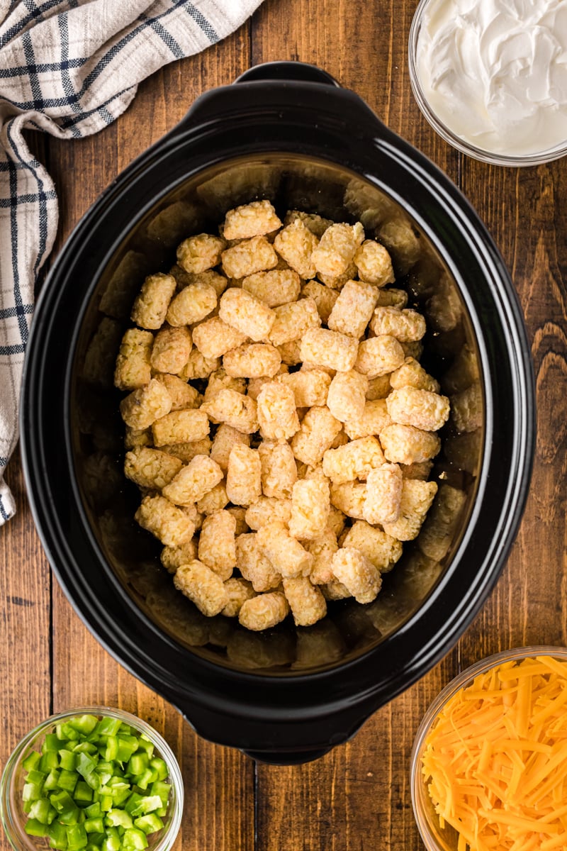 Tater tots arranged in a crockpot.