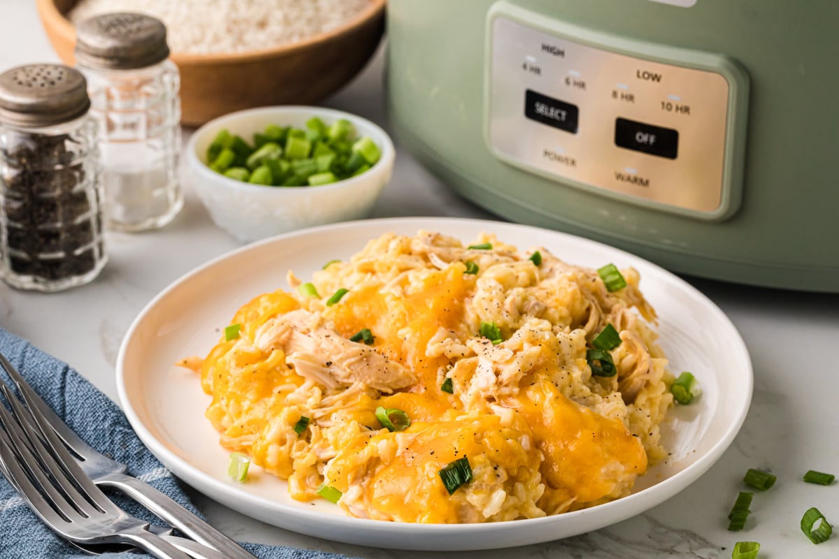 A plate of chicken and rice casserole in front of a crockpot.