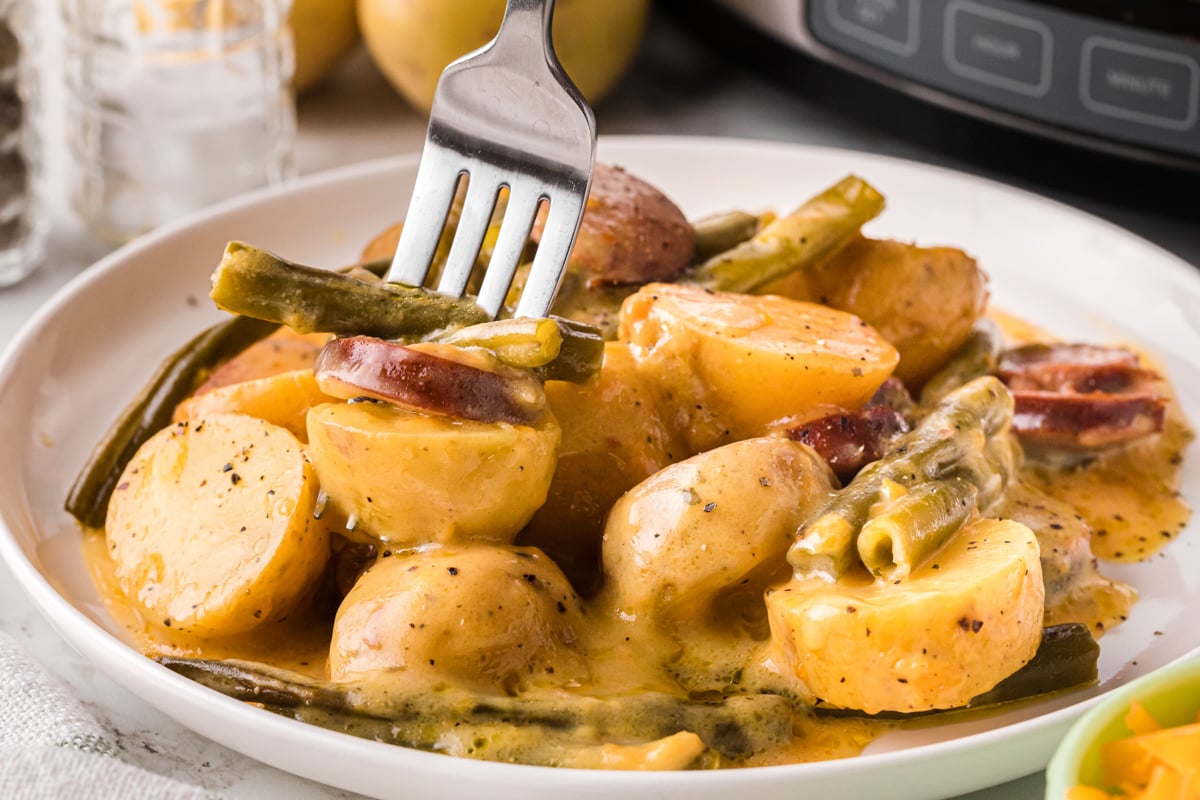 A plate of swamp potatoes with a fork grabbing some.