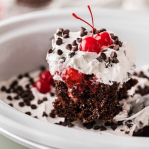 A slice of black forest cake being held up over a crockpot.