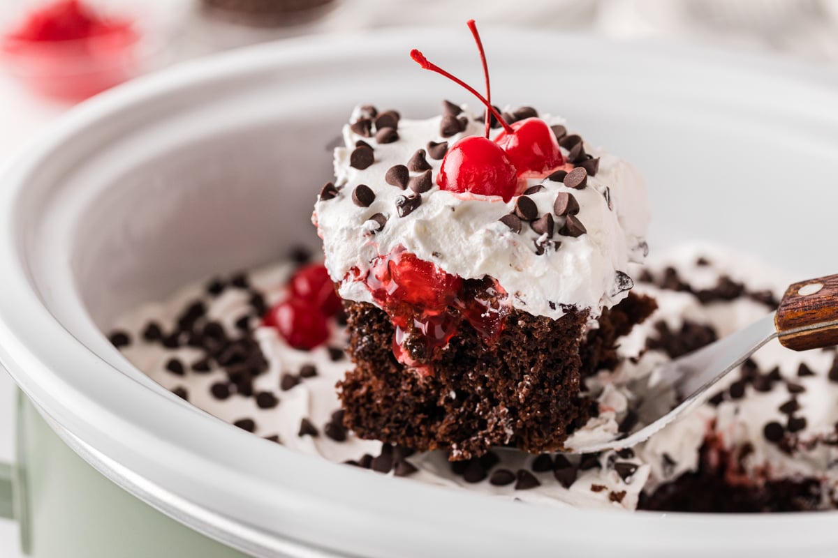 A slice of black forest cake being held up over a crockpot.