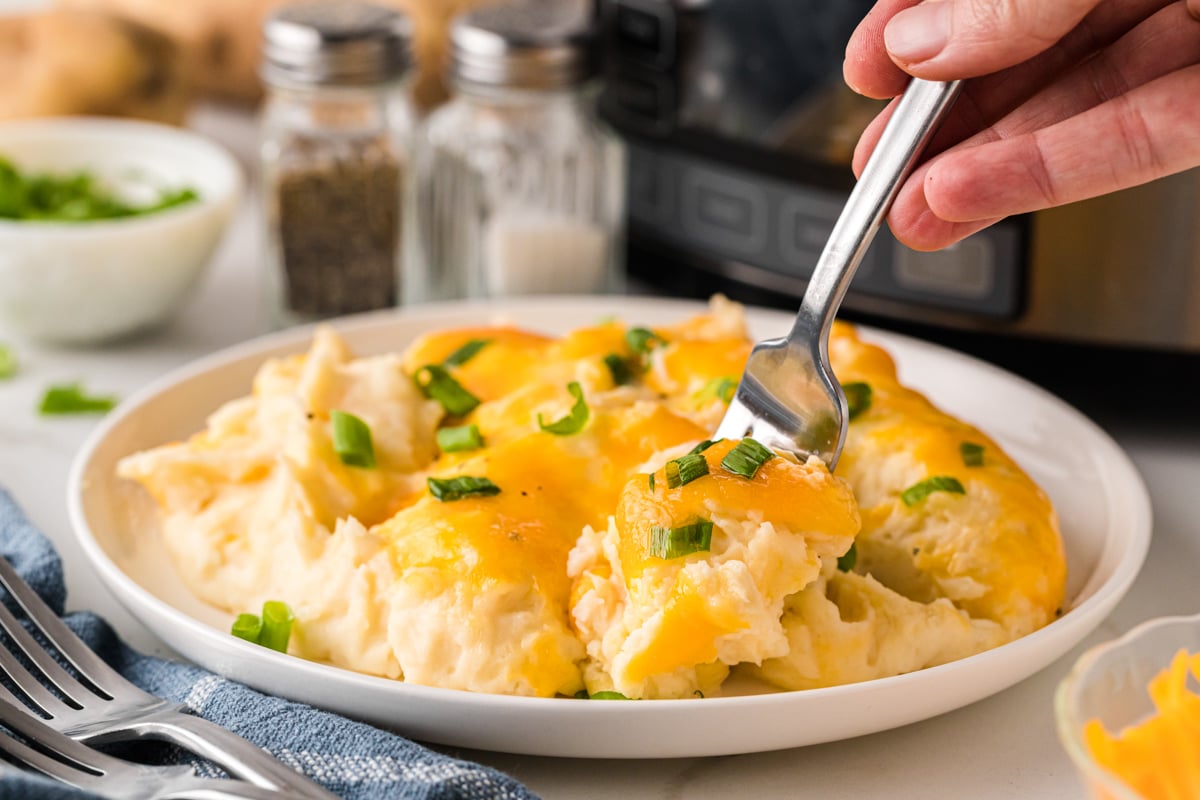 A plate of cheesy mashed potatoes with a fork grabbing some.