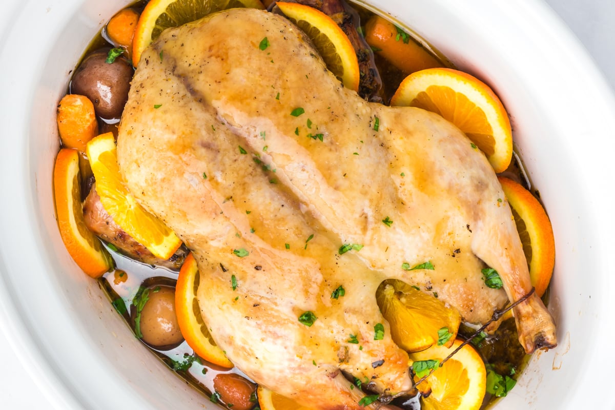 Cooked whole duck and veggies in a crockpot.