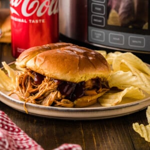 A sandwich with shredded coca cola chicken on a plate with potato chips.