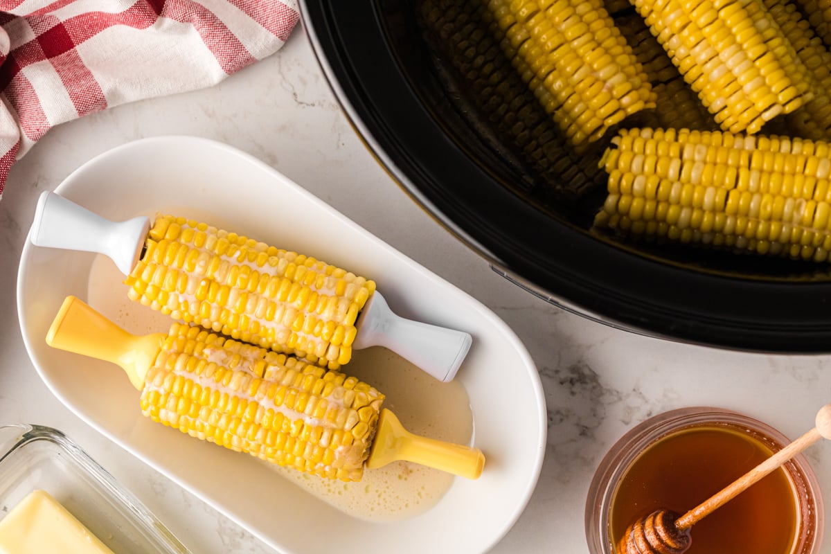 Two ears of corn on a plate next to a slow cooker.