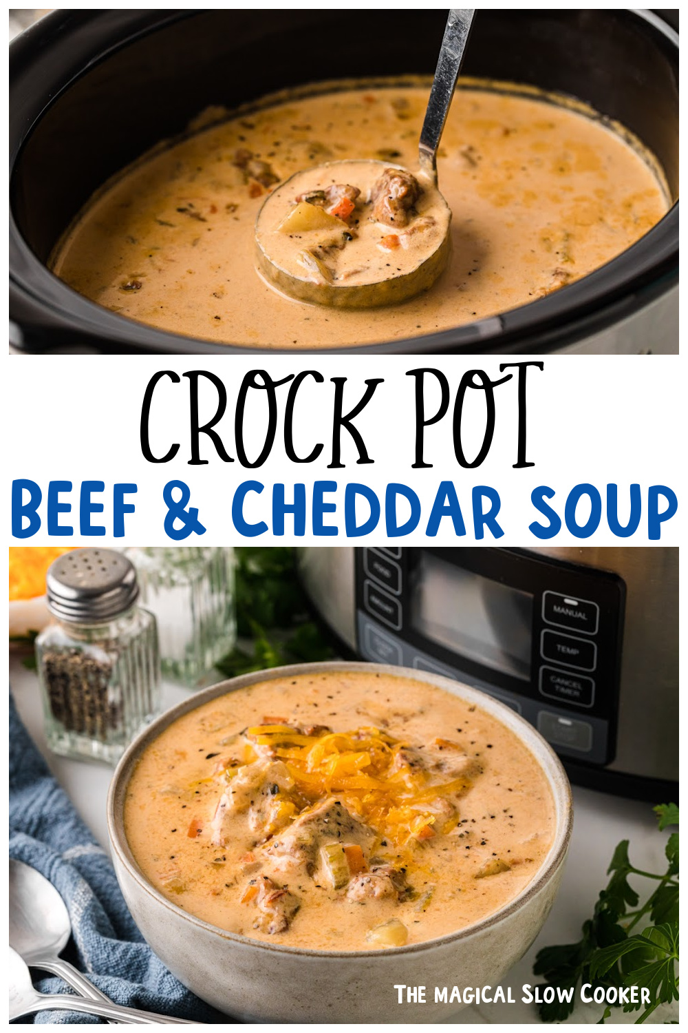 Two images of beef and cheddar soup for Pinterest.