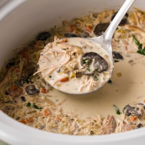 A ladle scooping chicken and wild rice soup out of a crockpot.