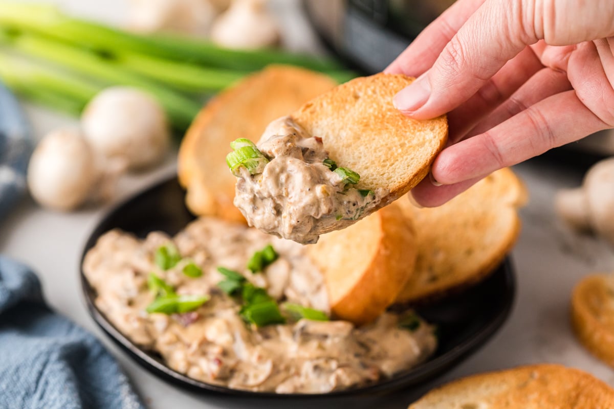 A hand holding up a piece of toasted bread with a scoop of mushroom dip.