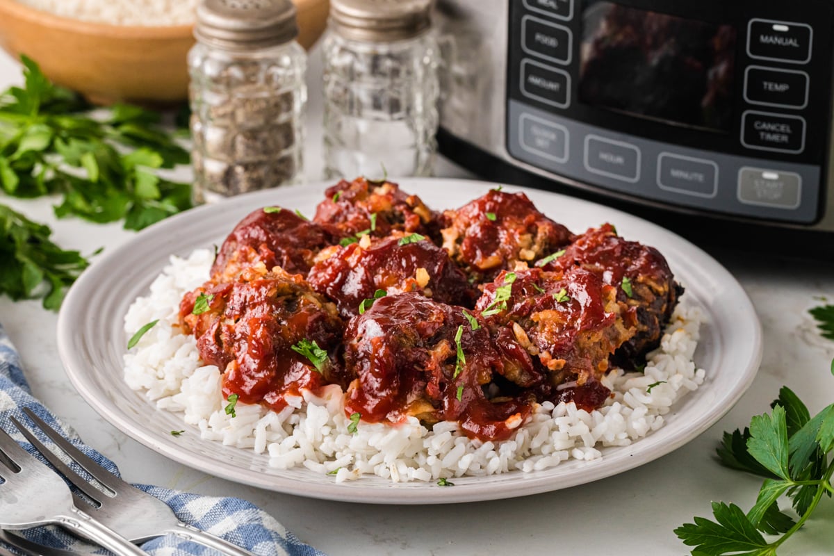 Porcupine meatballs on a bed of ric3e on a plate.