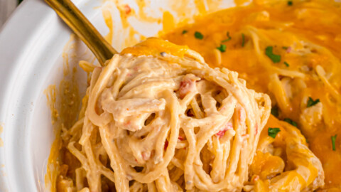 A spoon scooping spaghetti and chicken from a crockpot.