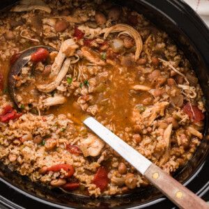 Mexican seasoned chicken and rice soup in a slow cooker with a ladle.