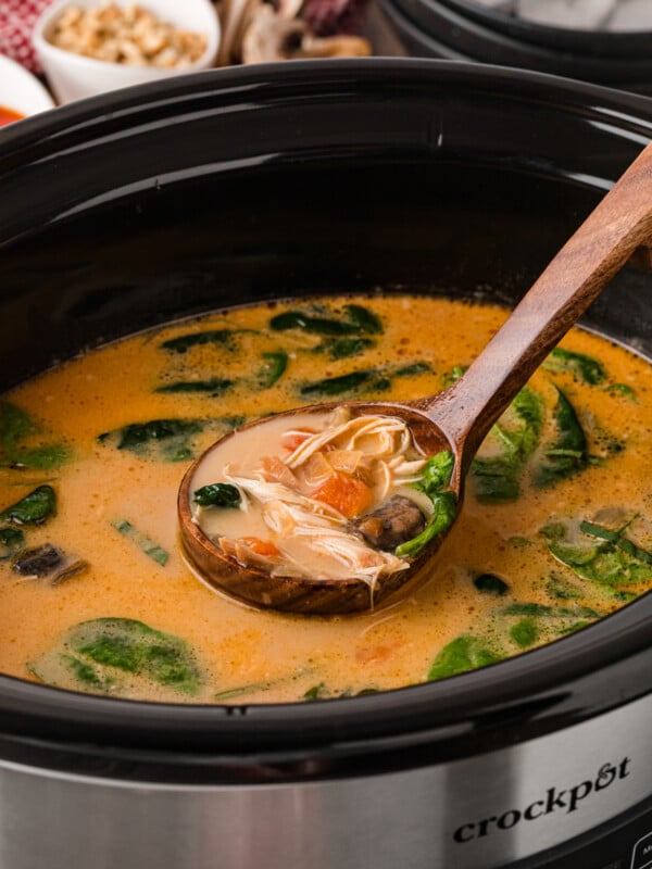 Thai red curry chicken soup in a crockpot with a ladle scooping some out.