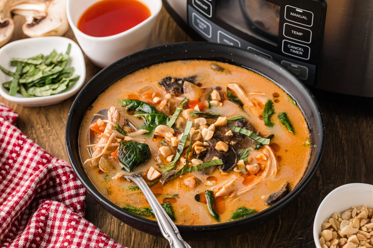 A bowl of thai curry soup in front of a crockpot.