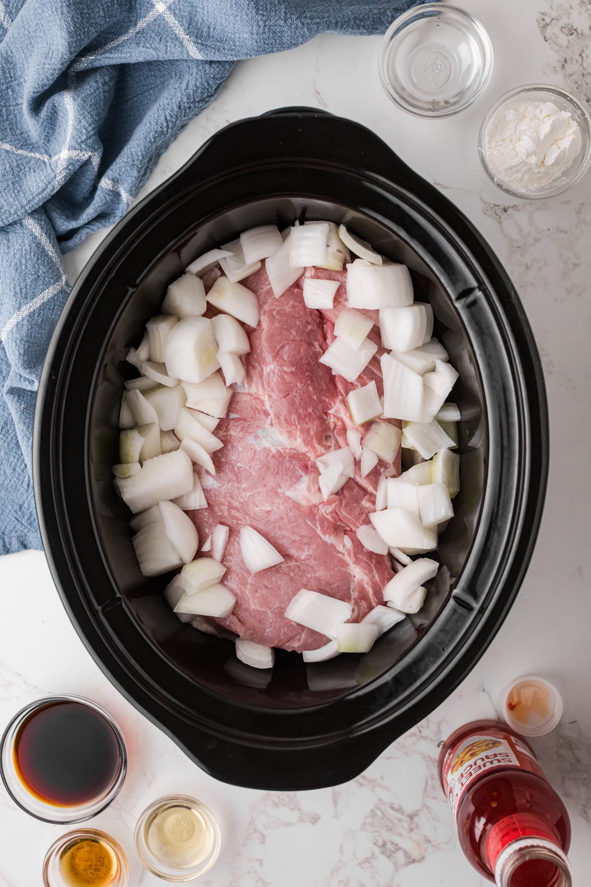 Pork loin and onions in a crockpot before cooking.