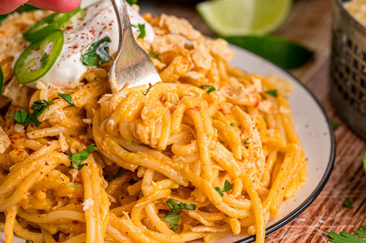 Close-up of spaghetti with chicken in a cheesy, creamy sauce on a plate with a fork in it.